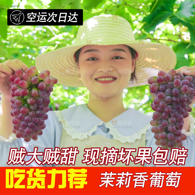 手里拿着茉莉香葡萄
