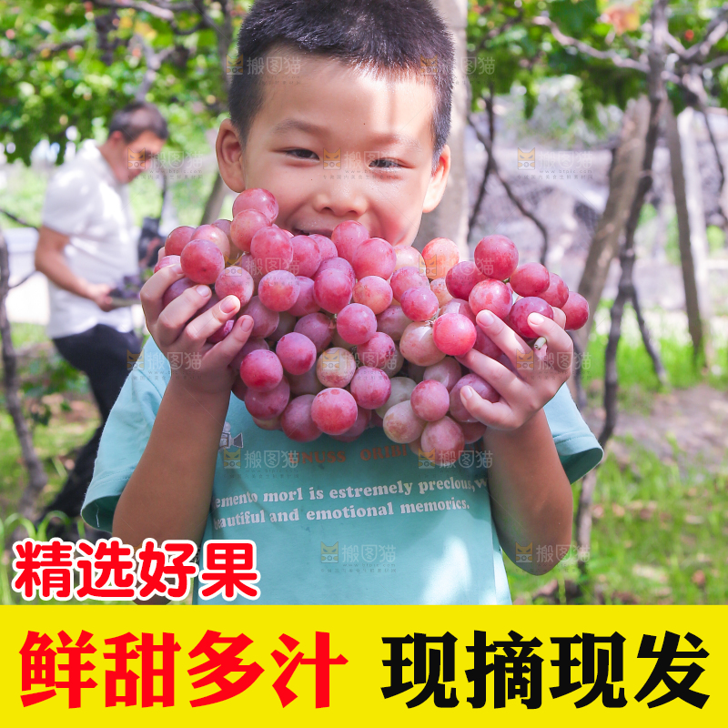 手里拿着新鲜葡萄