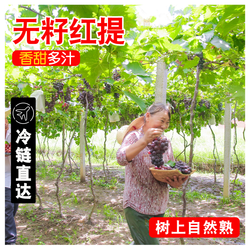 手里拿着新鲜葡萄