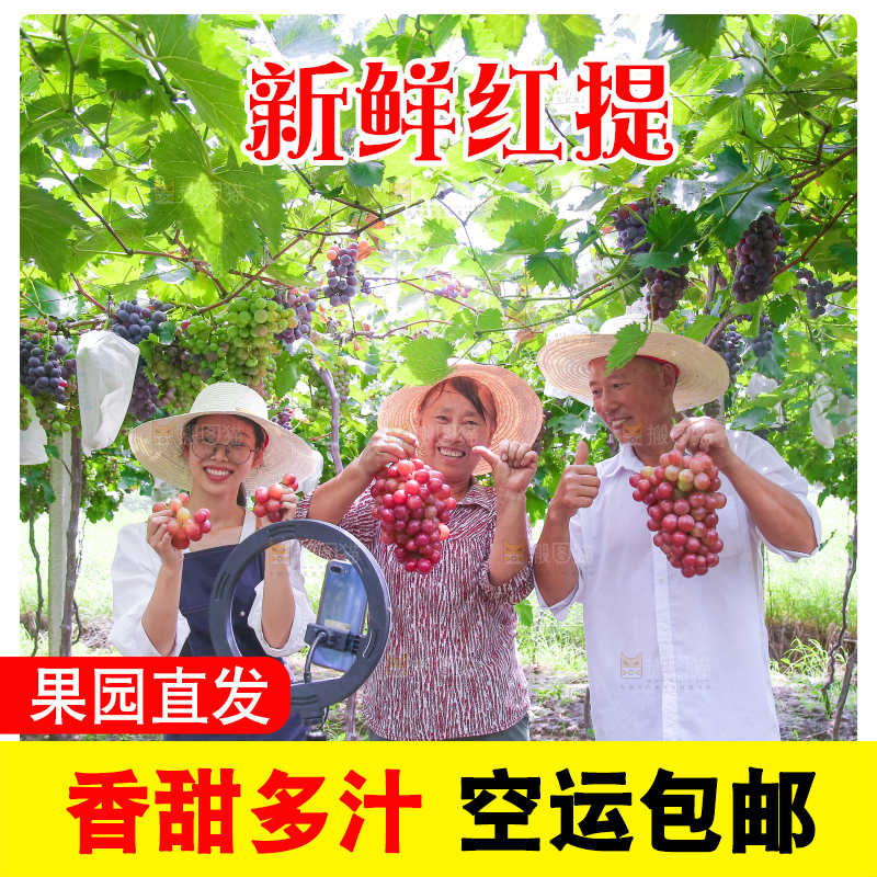 手里拿着新鲜葡萄