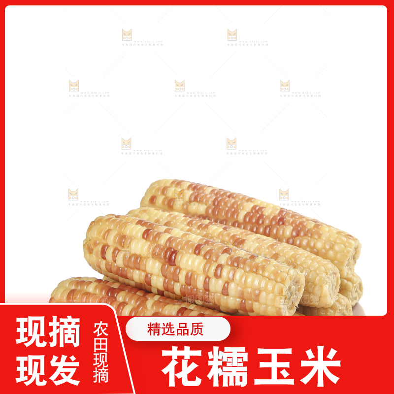 白底上的花糯玉米