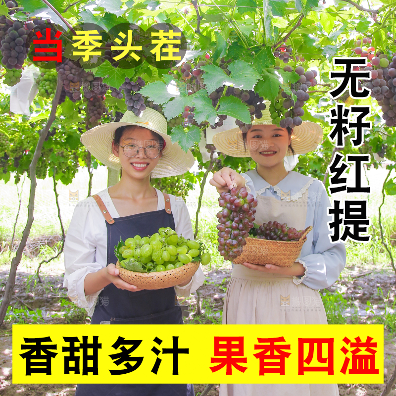 手里拿着新鲜葡萄