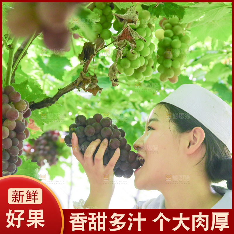 手里拿着新鲜紫葡萄