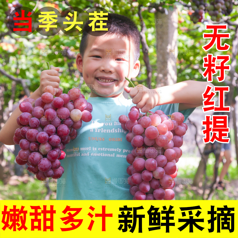 手里拿着新鲜葡萄