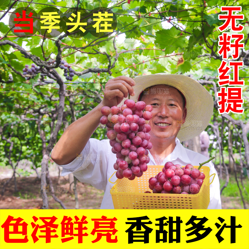 手里拿着新鲜葡萄