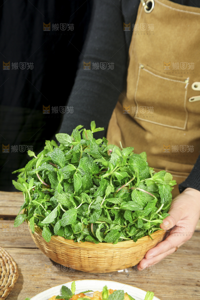 木底上的新鲜薄荷