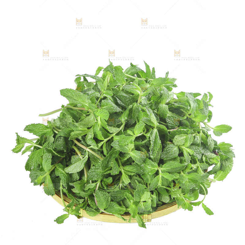 白底上的新鲜薄荷