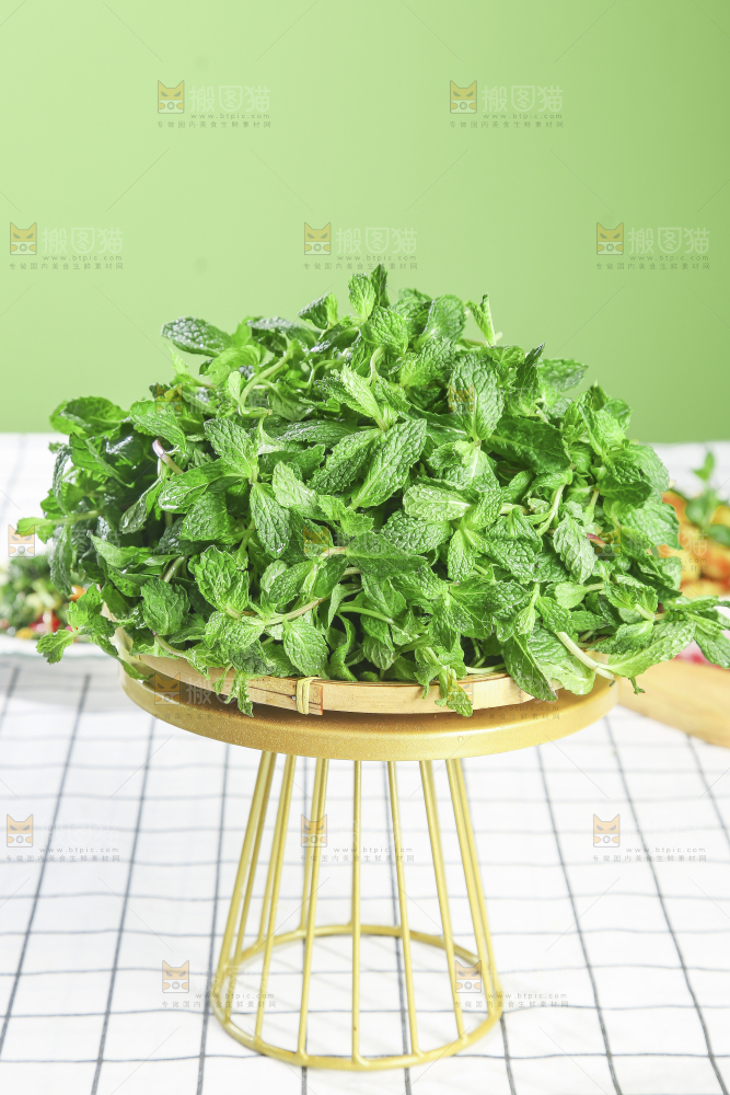 浅底上的新鲜薄荷