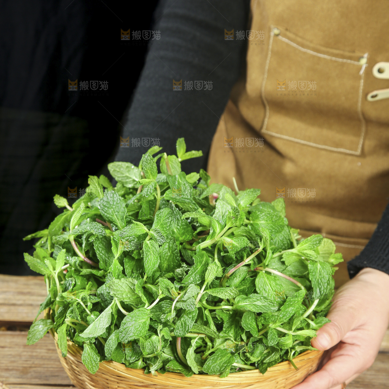 木底上的新鲜薄荷