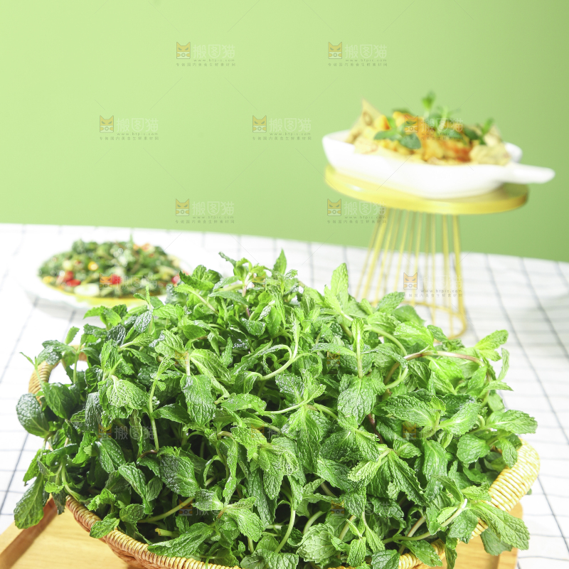 浅底上的新鲜薄荷