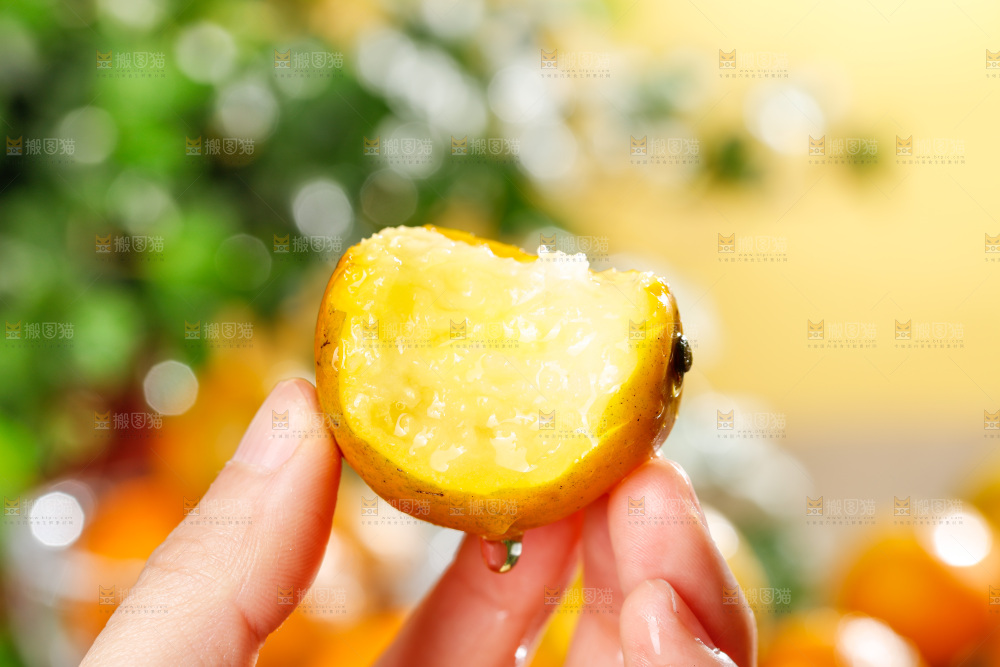 深底上的金柑