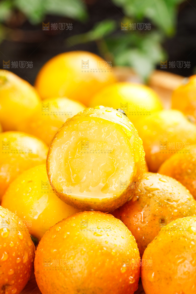深底上的金柑