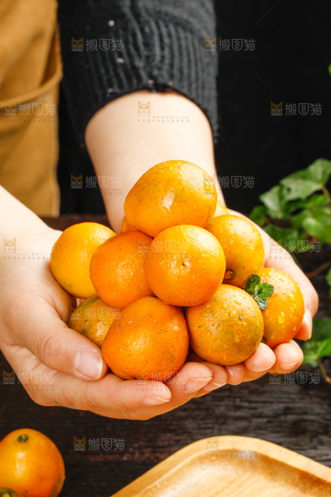 深底上的金柑