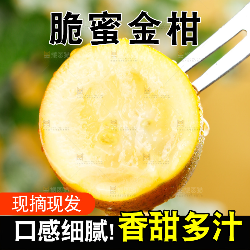 深底上的金柑