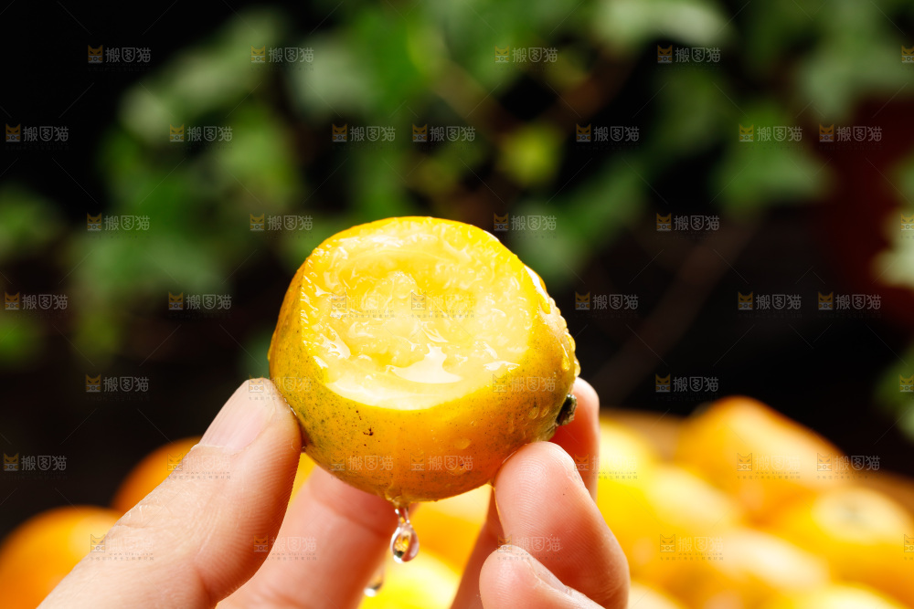 深底上的金柑