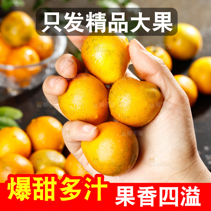 深底上的金柑