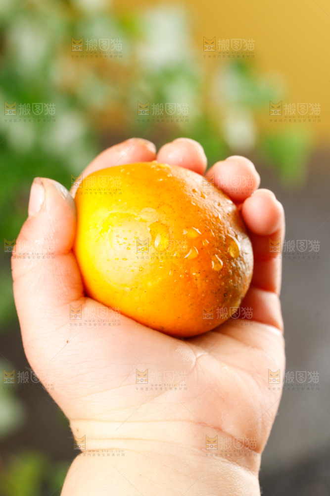 深底上的金柑