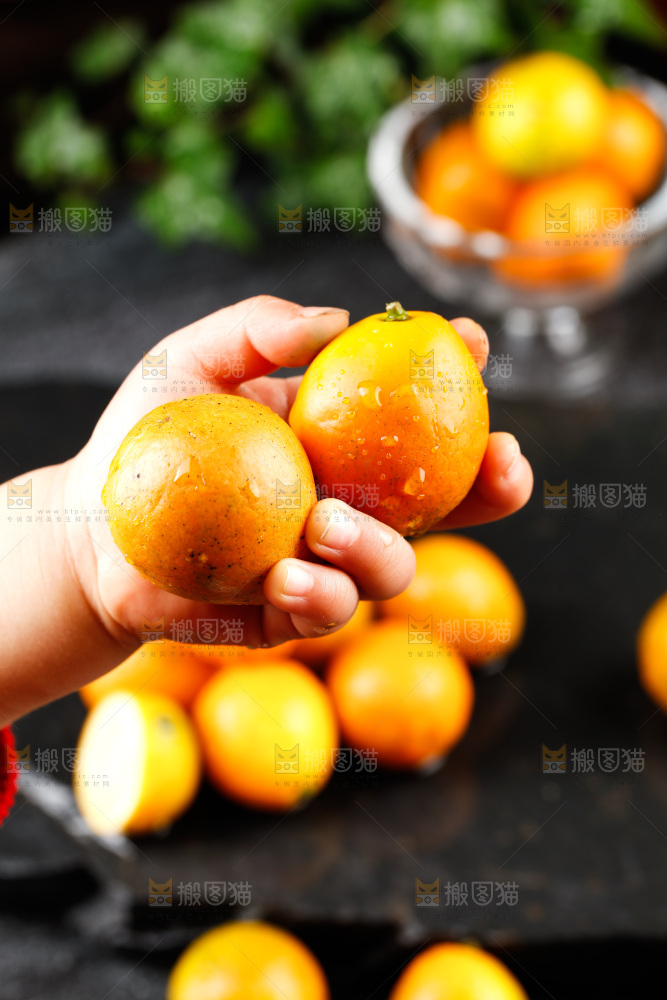 深底上的金柑
