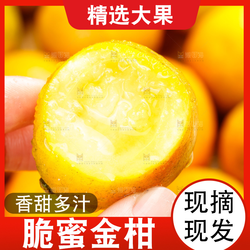 深底上的金柑