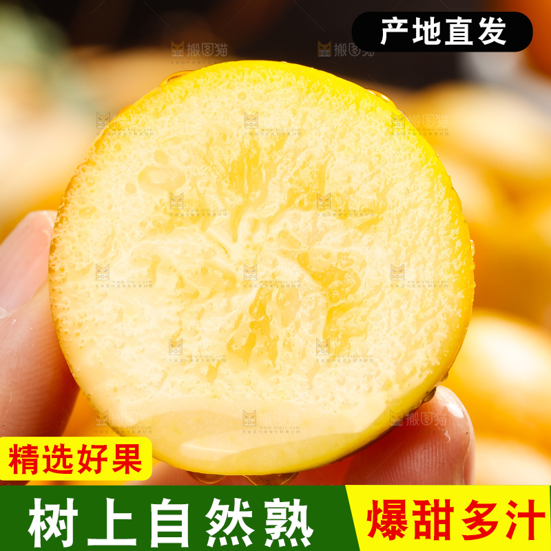 深底上的金柑