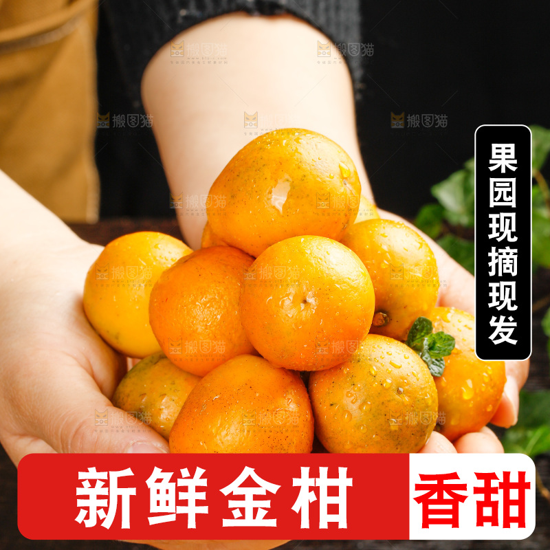 深底上的金柑