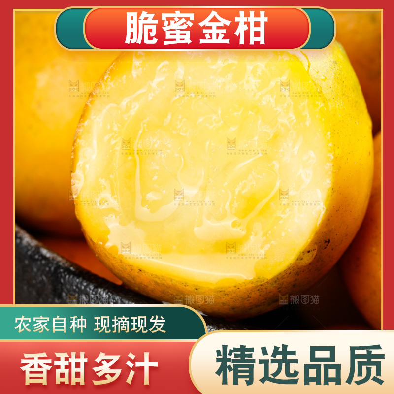 深底上的金柑