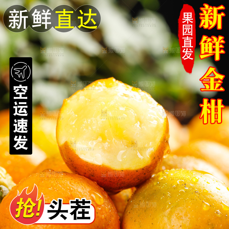 深底上的金柑