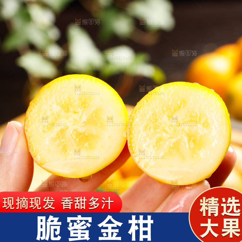 深底上的金柑