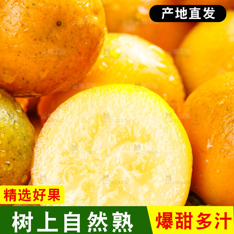 深底上的金柑