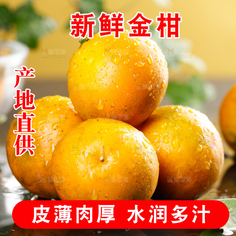 深底上的金柑