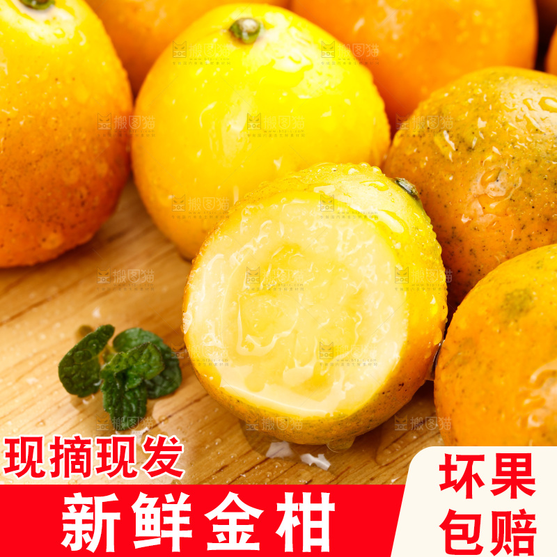 深底上的金柑