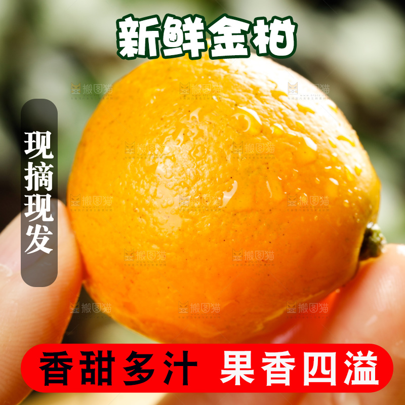 深底上的金柑