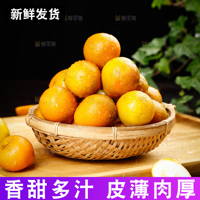 深底上的金柑