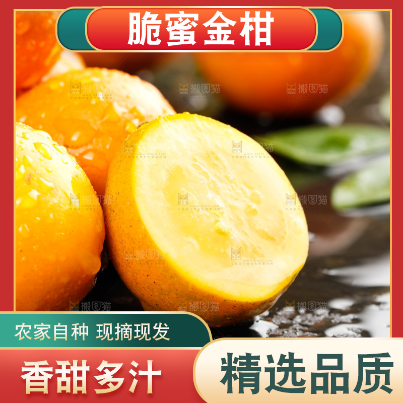 深底上的金柑