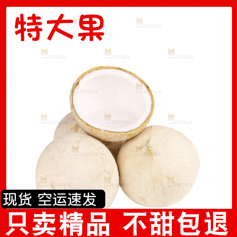 白底上的牛奶椰皇