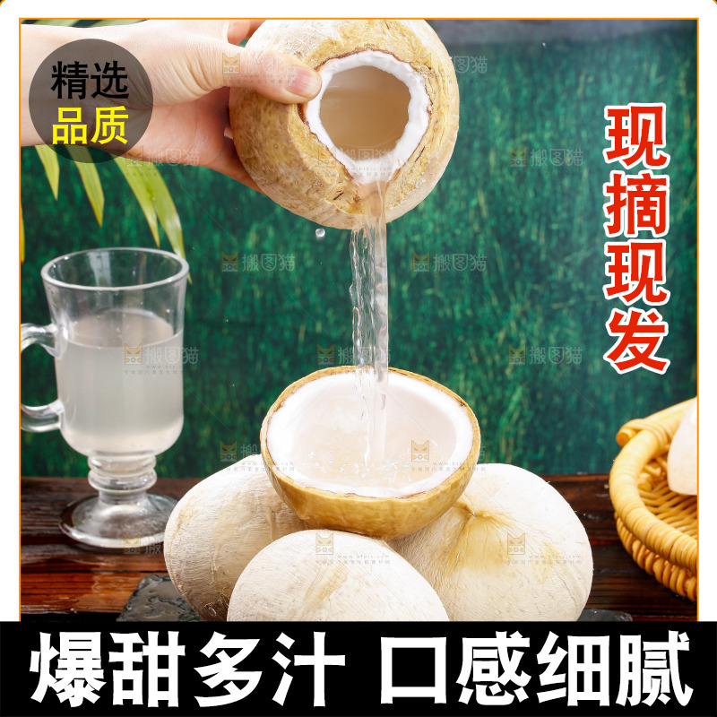 深底上的牛奶椰皇