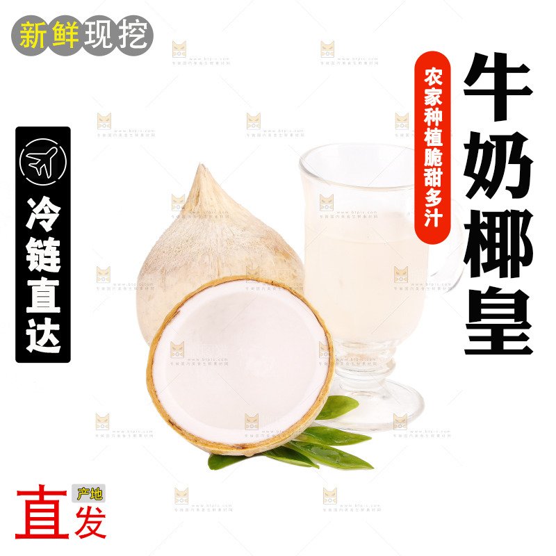 白底上的牛奶椰皇
