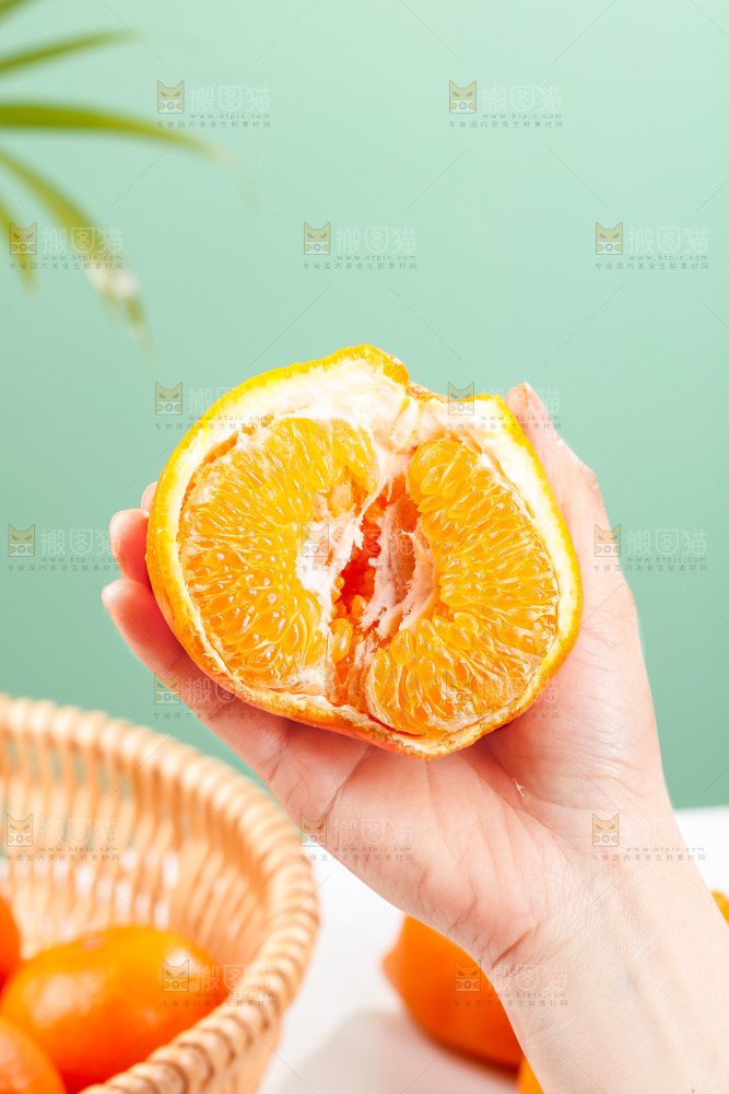 浅底上的春见耙耙柑