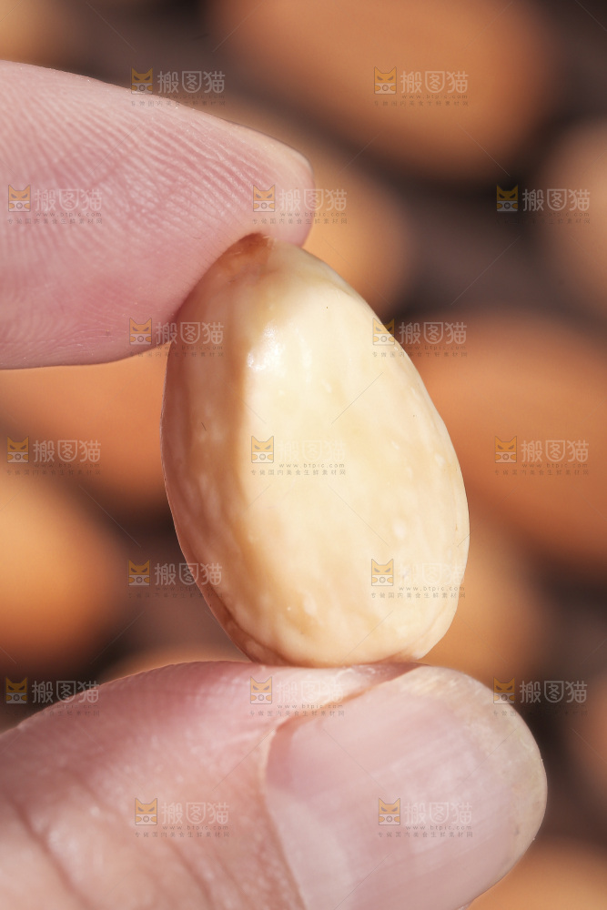 深底上的扁桃仁