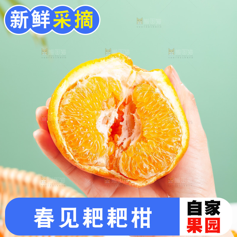 浅底上的春见耙耙柑
