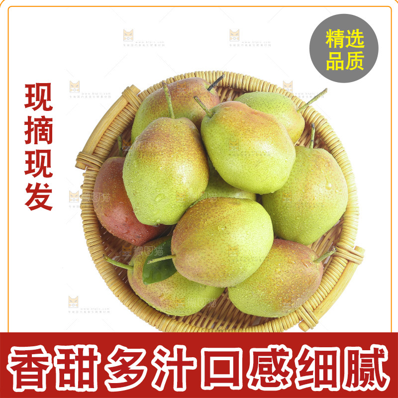 白底上的红香酥梨