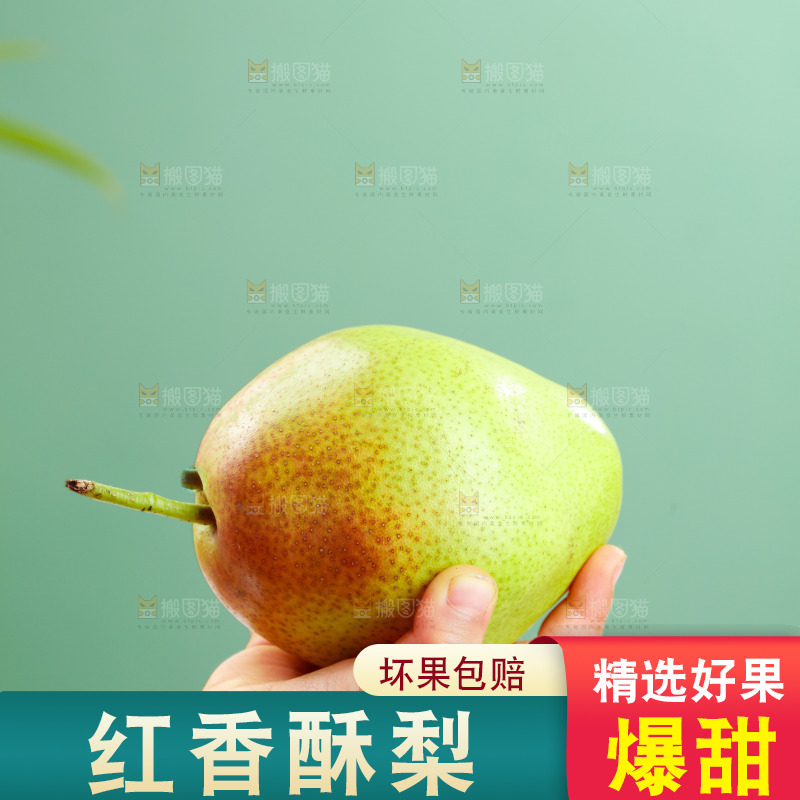 白底上的红香酥梨