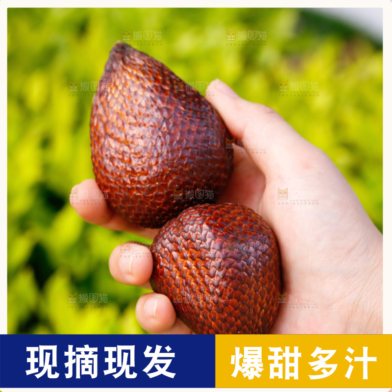 手里拿着蛇皮果