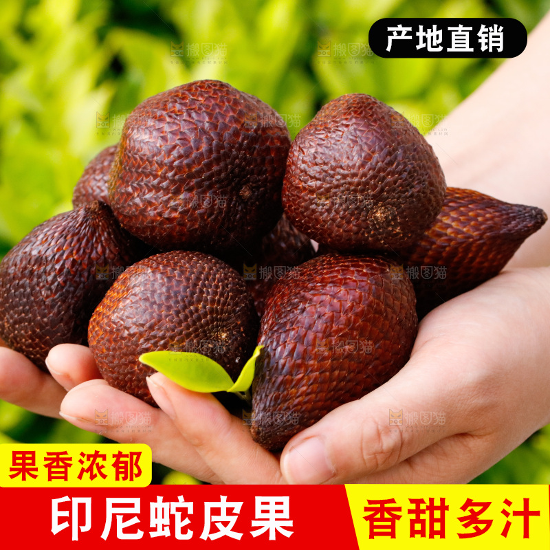 手里拿着蛇皮果