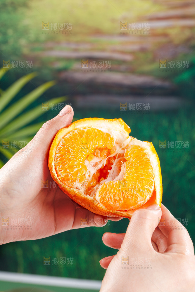 浅底上的春见耙耙柑