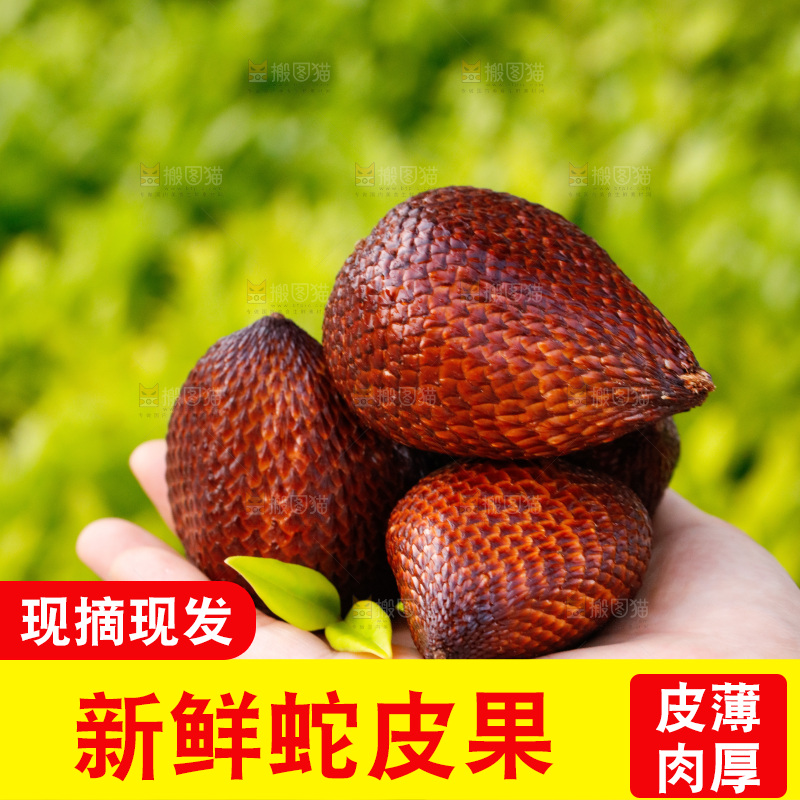 手里拿着蛇皮果