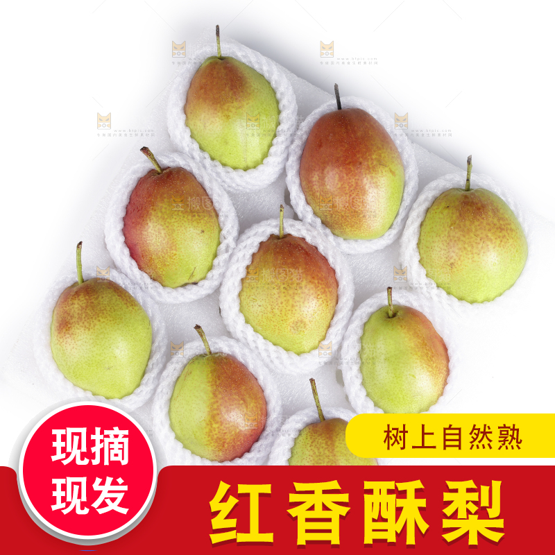 白底上的红香酥梨