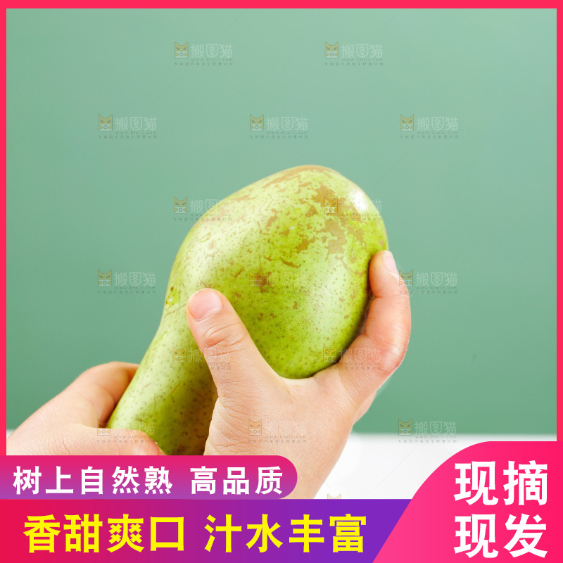 手里拿着青啤梨