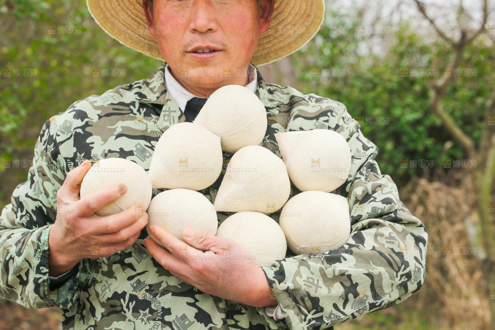 手里拿着牛奶椰皇
