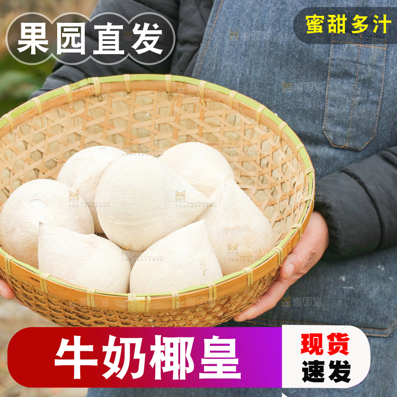 手里拿着牛奶椰皇